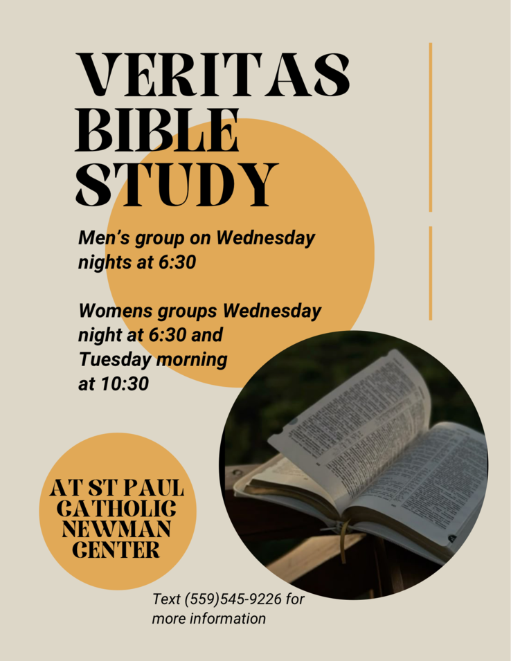 Veritas Bible Study
