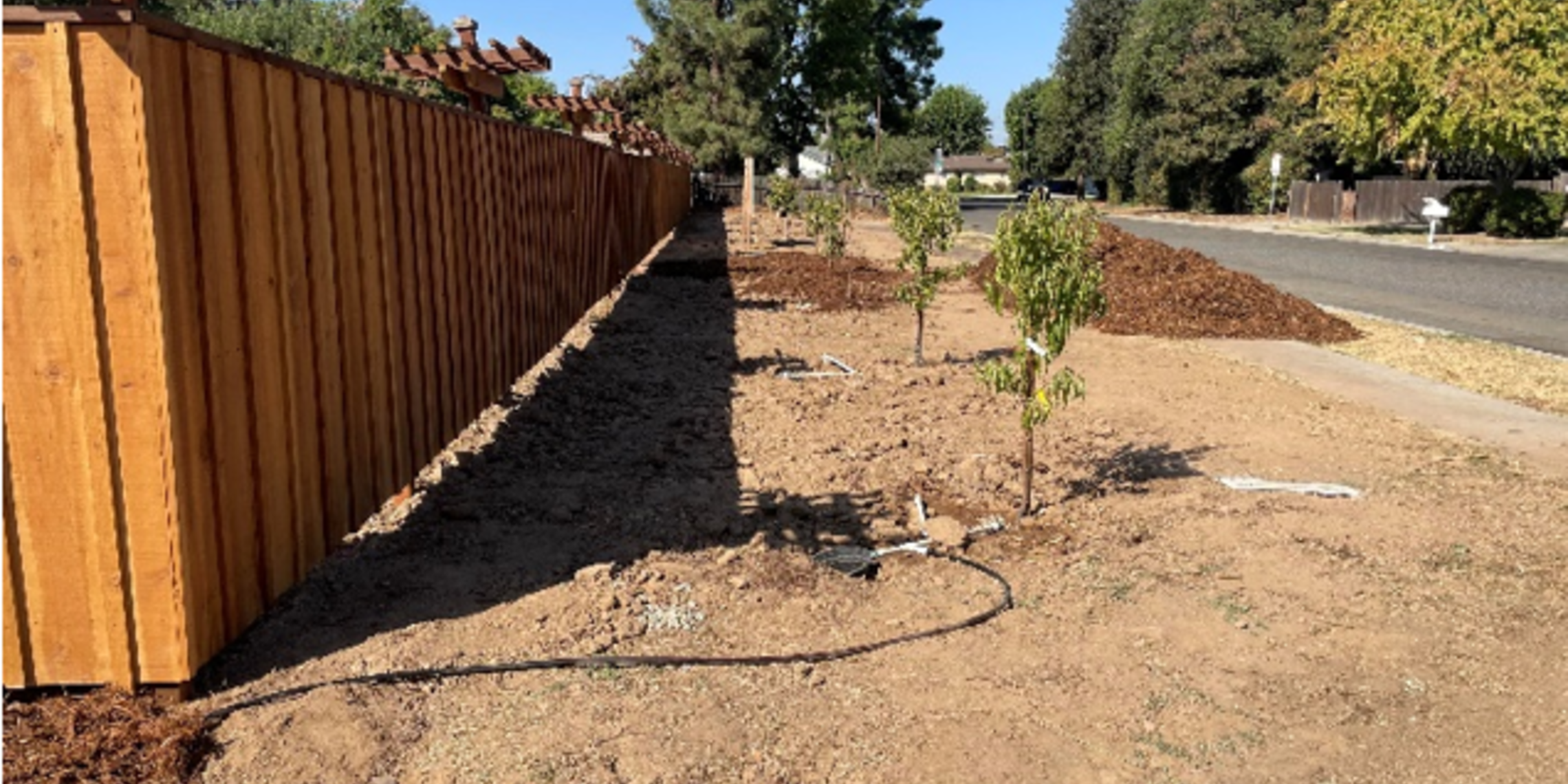 Community Garden1